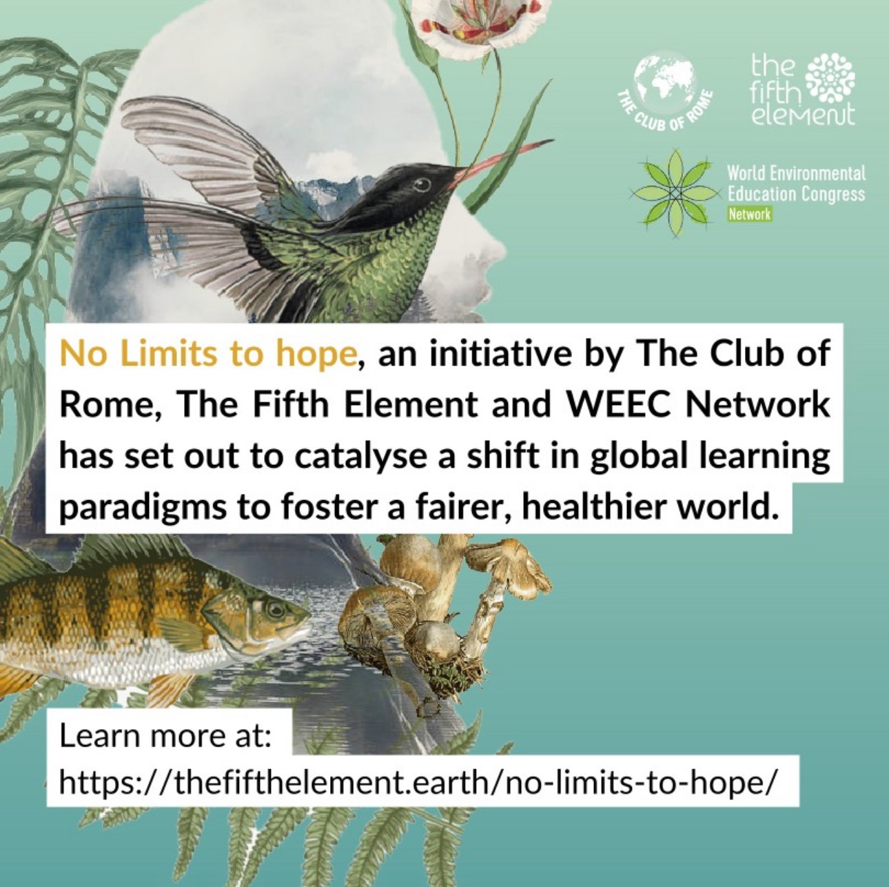 No Limits to Hope: Transforming Learning for Better Futures launch webinar