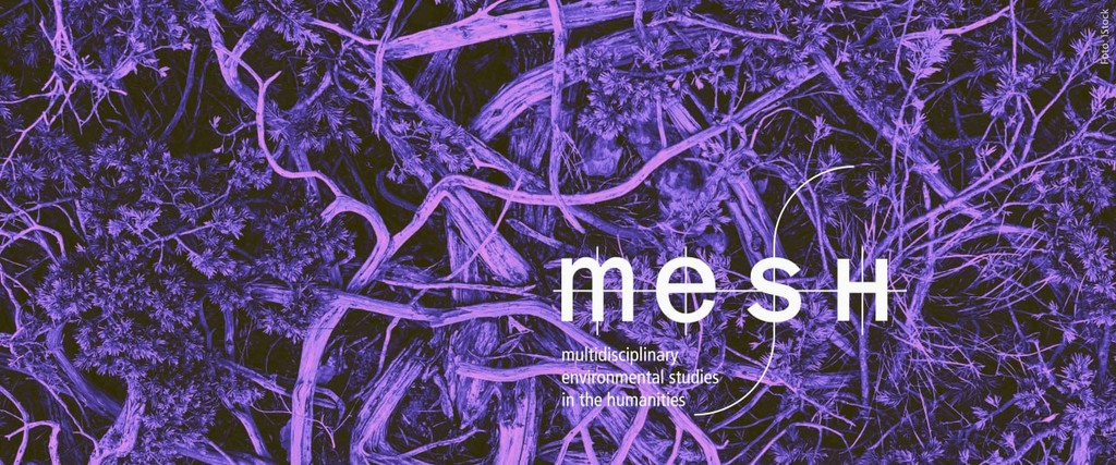 "Branching Out" – Upcoming Talks and Media of MESH-staff.