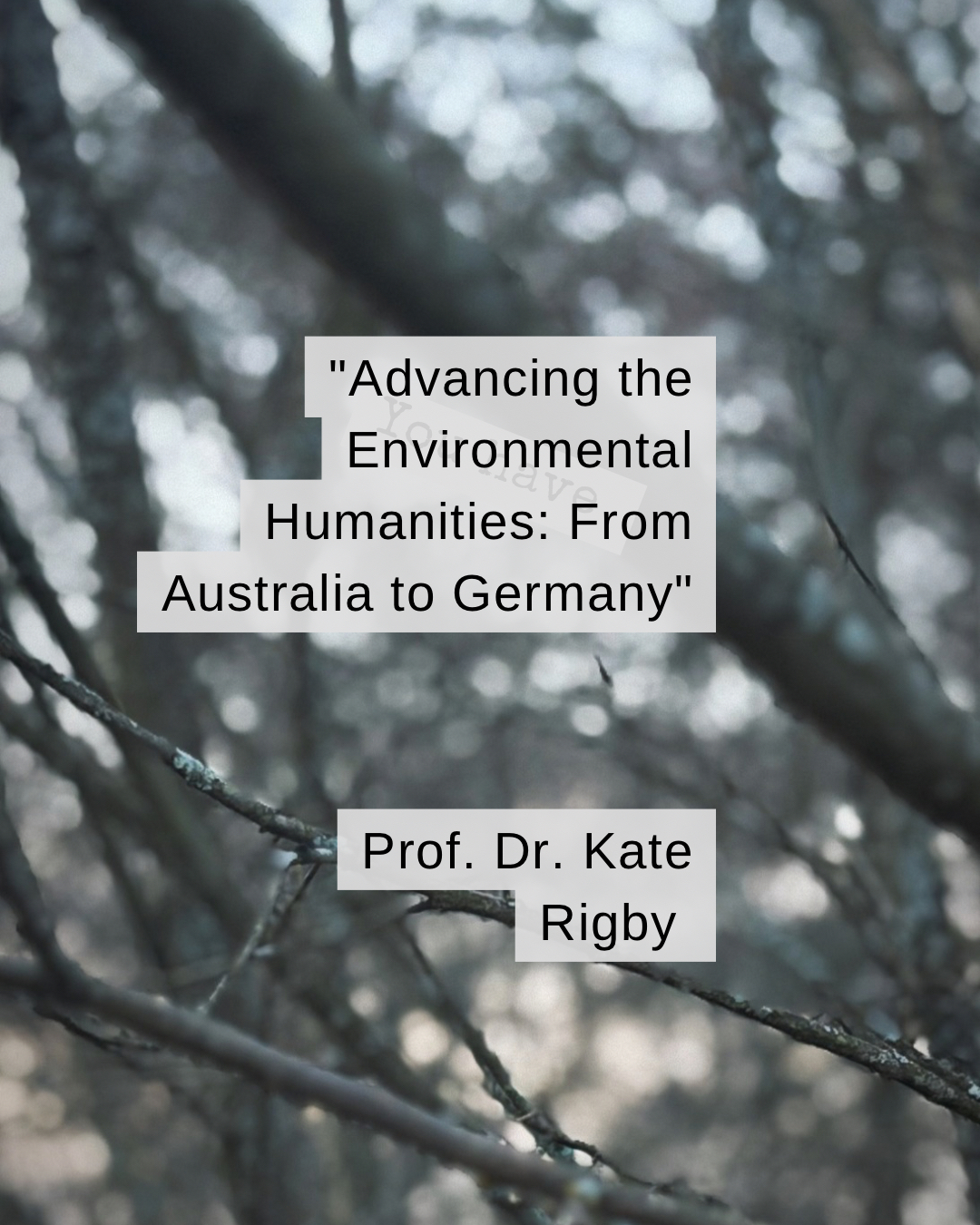 Advancing the Environmental Humanities: From Australia to Germany