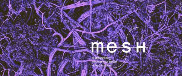 Recent Publications by MESH staff