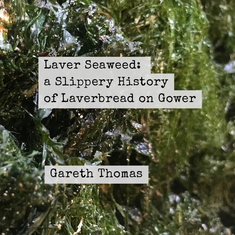 Laver Seaweed: a Slippery History  of Laverbread on Gower